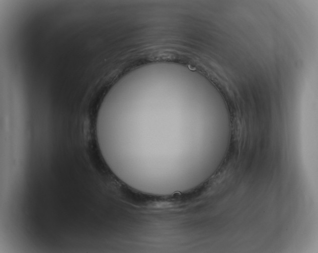 X0000102260224200807250844