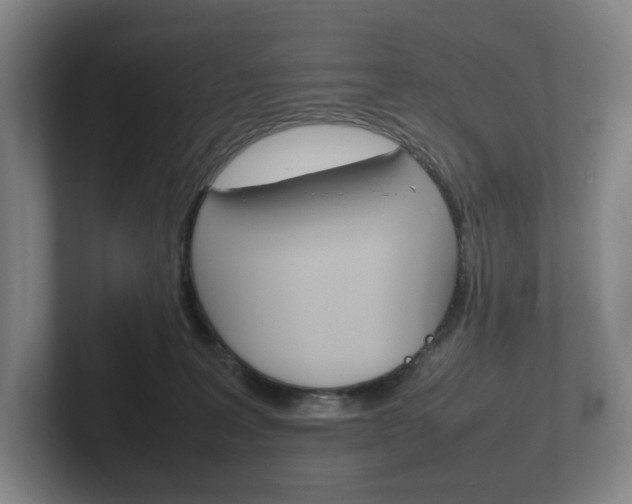 X0000102260227200807250844