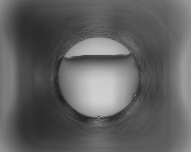 X0000102260229200807250844