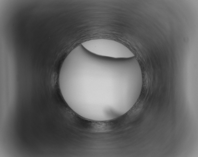 X0000102260230200807250844