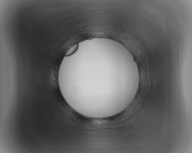 X0000102260234200807250844