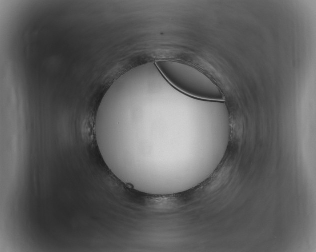 X0000102260237200807250844