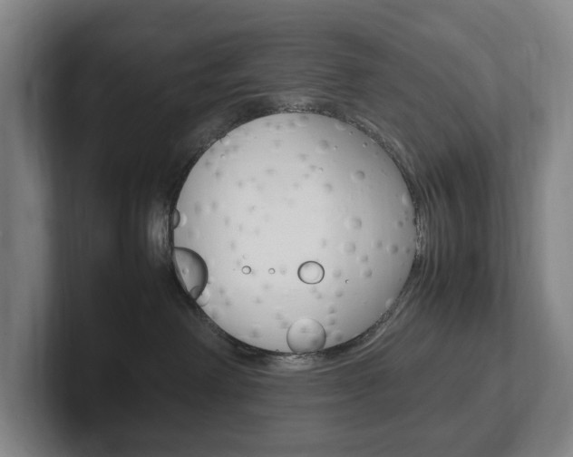 X0000102260238200807250844
