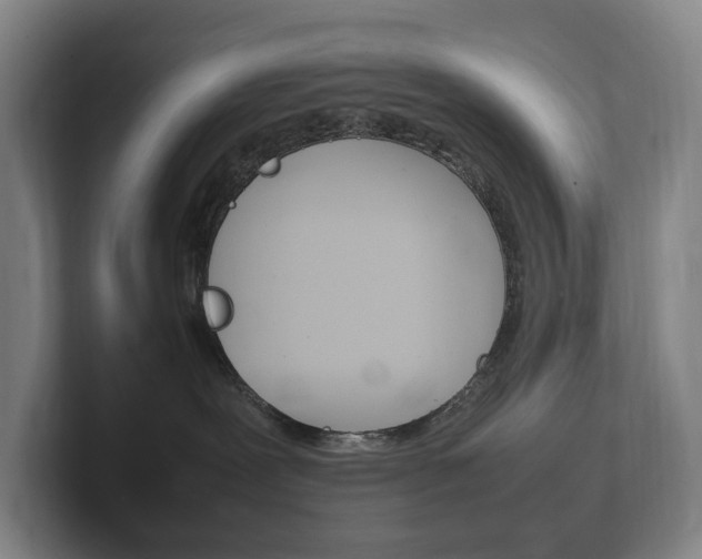 X0000102260239200807250844