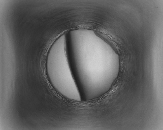 X0000102260241200807250843