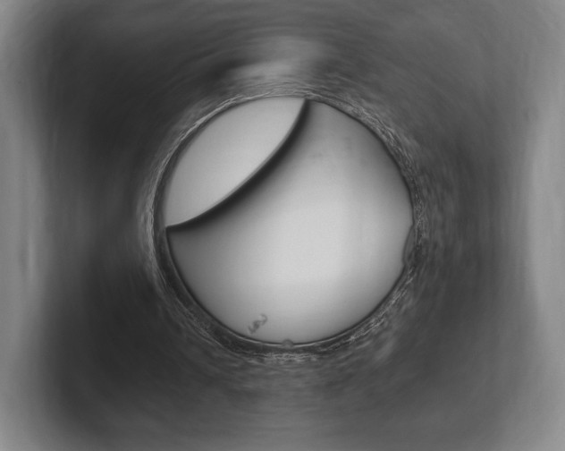 X0000102260242200807250843