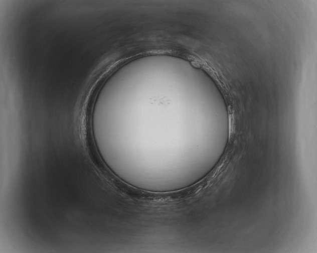 X0000102260243200807250843