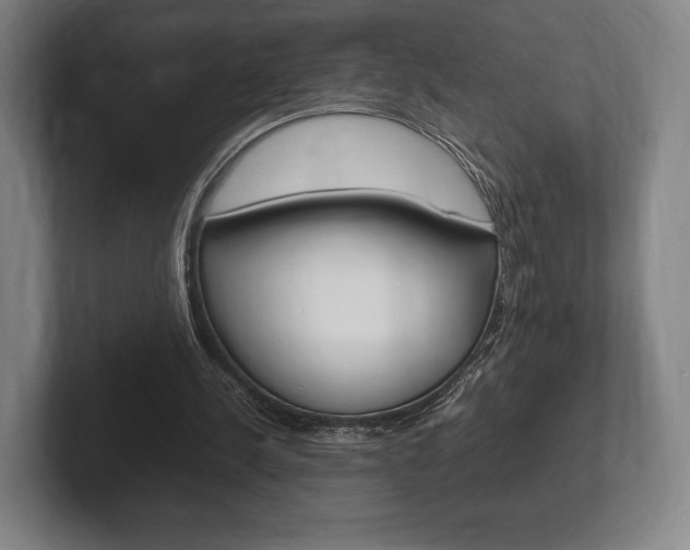 X0000102260244200807250843