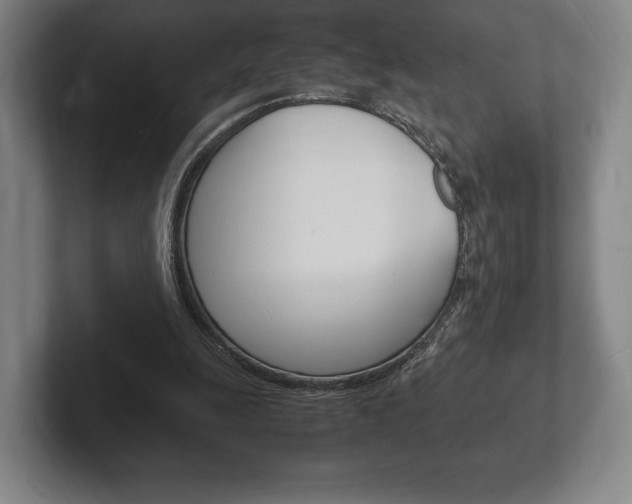 X0000102260247200807250843
