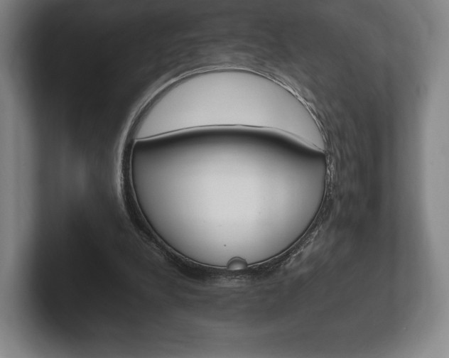 X0000102260248200807250843
