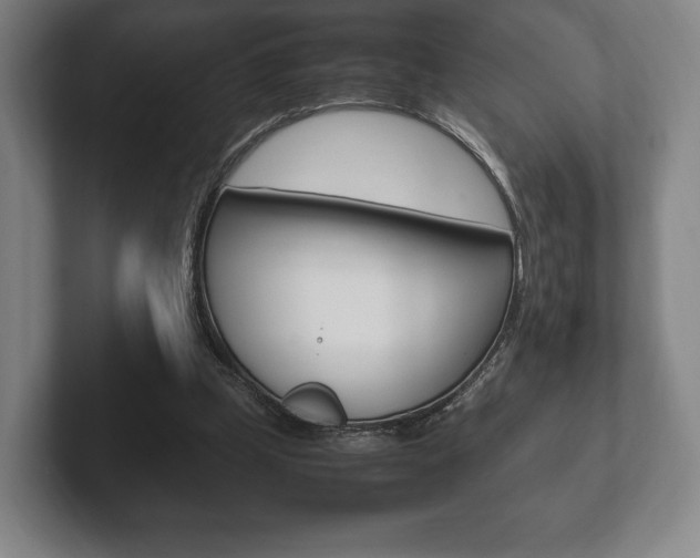 X0000102260249200807250843