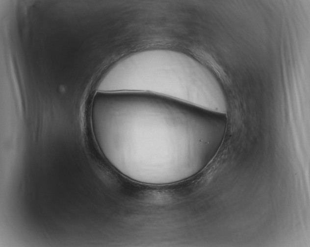 X0000102260250200807250843