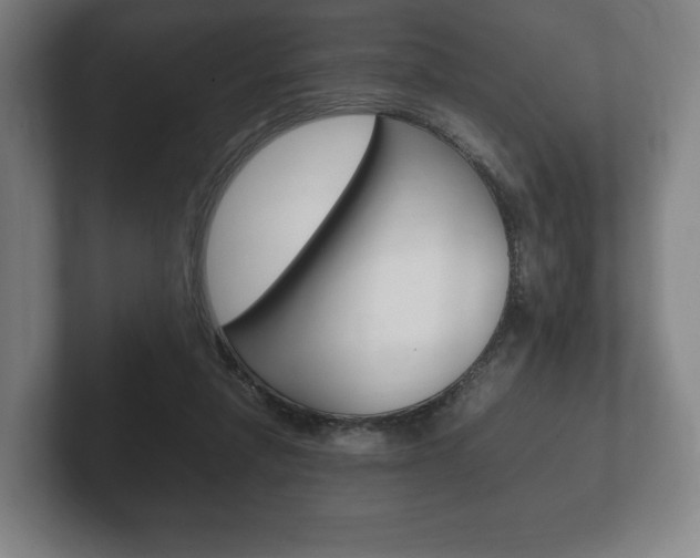 X0000102260258200807250843