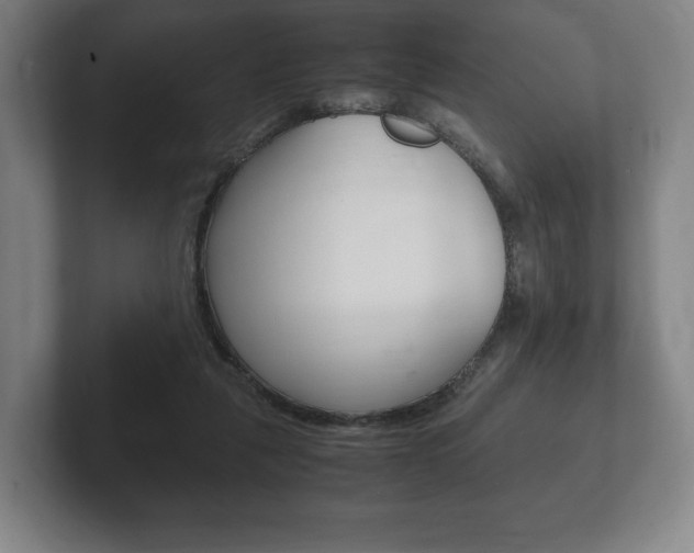 X0000102260259200807250843
