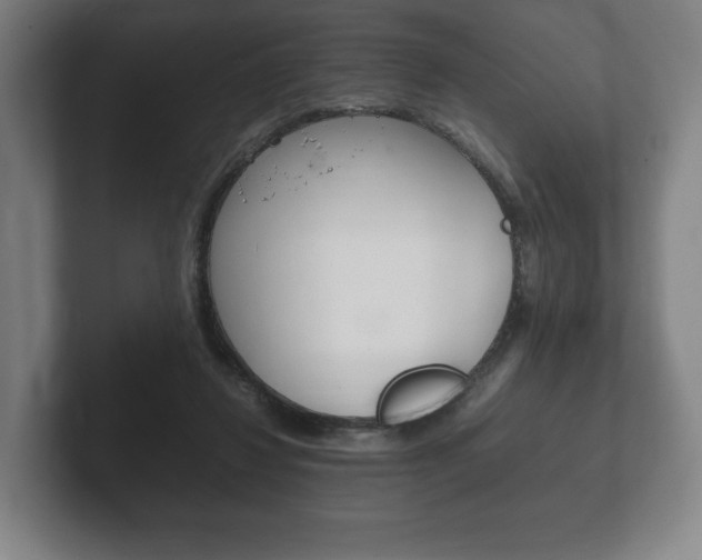 X0000102260260200807250843