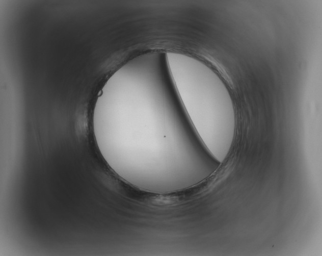 X0000102260261200807250843