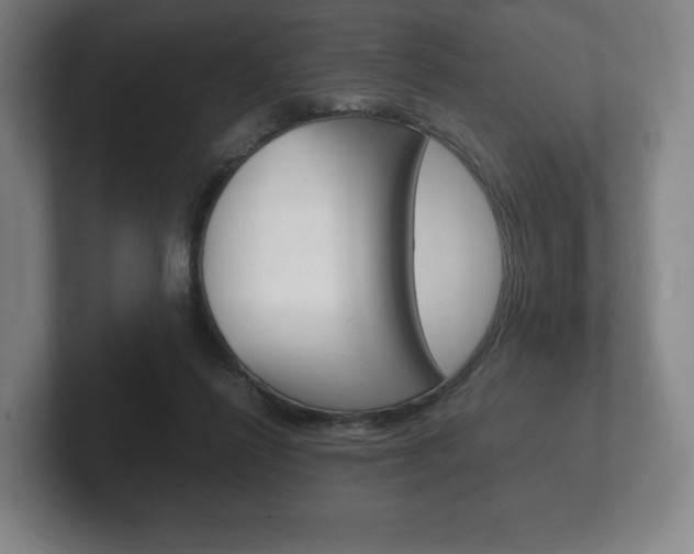 X0000102260262200807250843