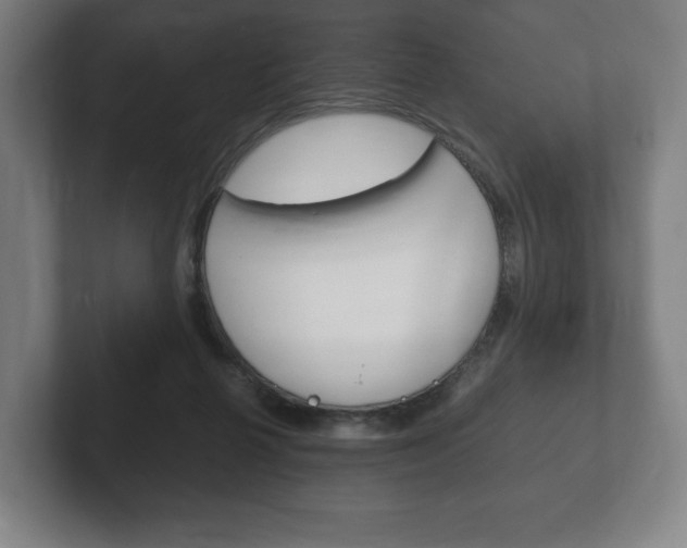 X0000102260264200807250844