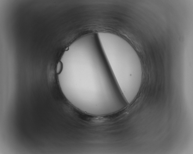 X0000102260269200807250844