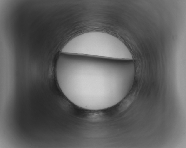X0000102260274200807250844