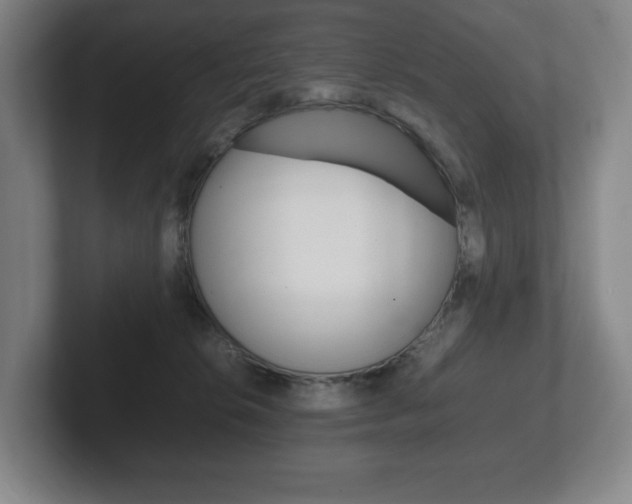 X0000102260276200807250844