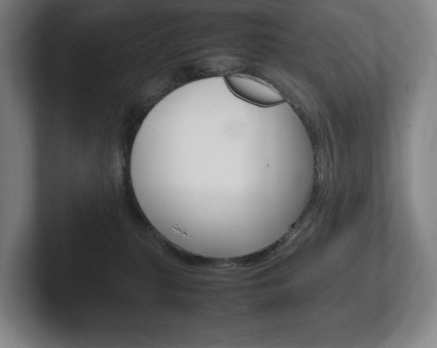 X0000102260279200807250844