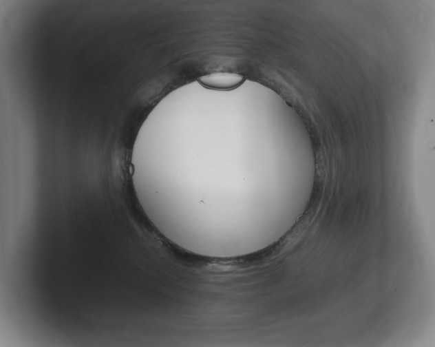 X0000102260280200807250844