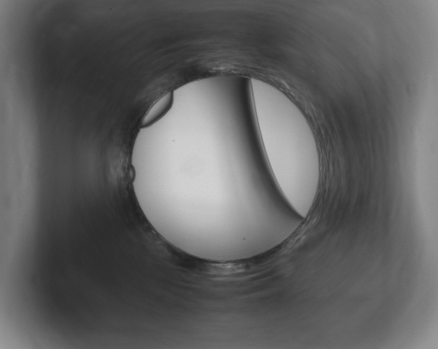 X0000102260281200807250844
