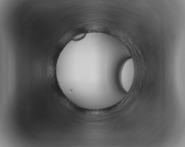 X0000102260282200807250844