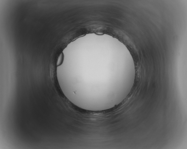 X0000102260283200807250844