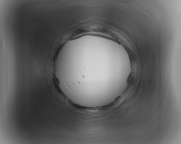 X0000102260284200807250844