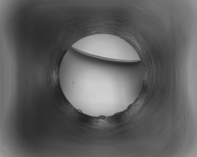 X0000102260285200807250844