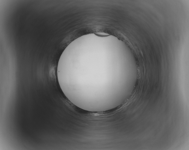 X0000102260286200807250844
