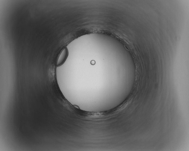 X0000102260288200807250844