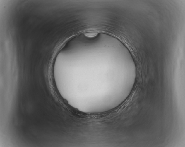 X0000102260289200807250843