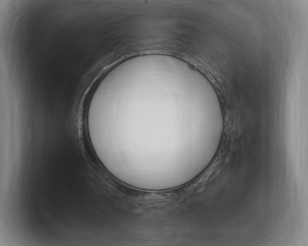 X0000102260290200807250843