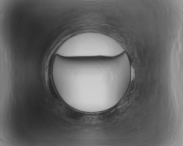 X0000102260291200807250843
