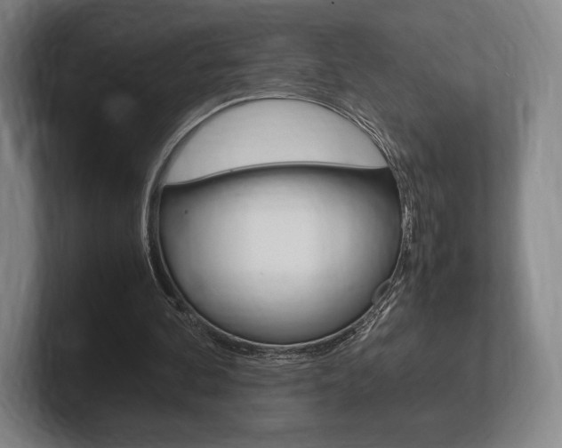 X0000102260292200807250843