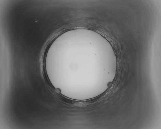 X0000102260293200807250843