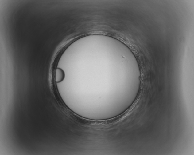 X0000102260294200807250843