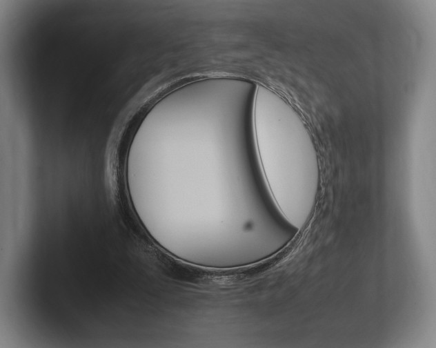 X0000102260295200807250843