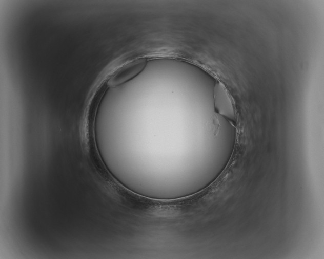 X0000102260296200807250843