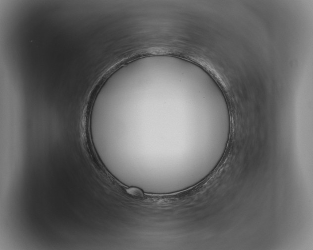 X0000102260297200807250843