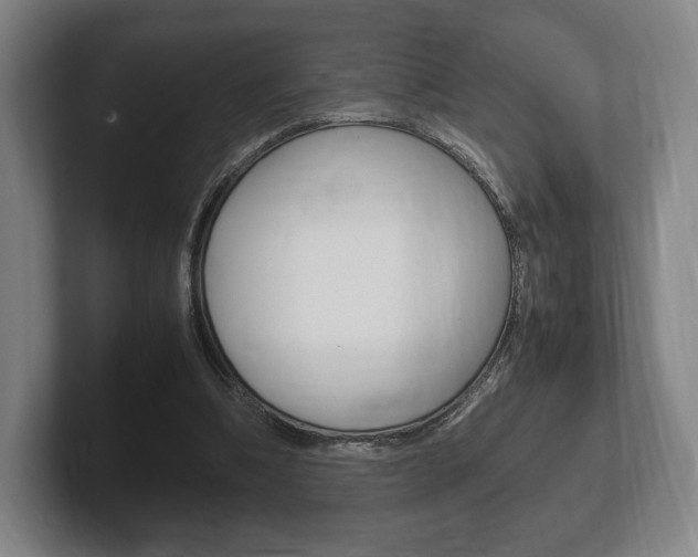 X0000102260298200807250843