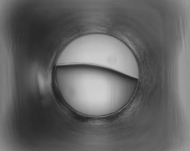X0000102260299200807250843