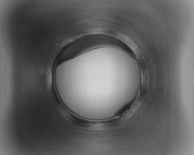 X0000102260301200807250843