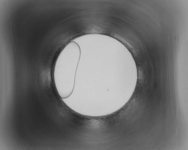 X0000102260302200807250843