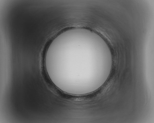 X0000102260303200807250843