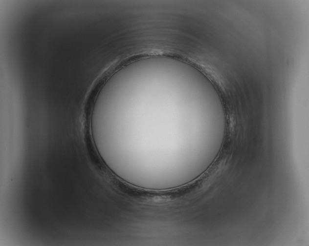 X0000102260304200807250843