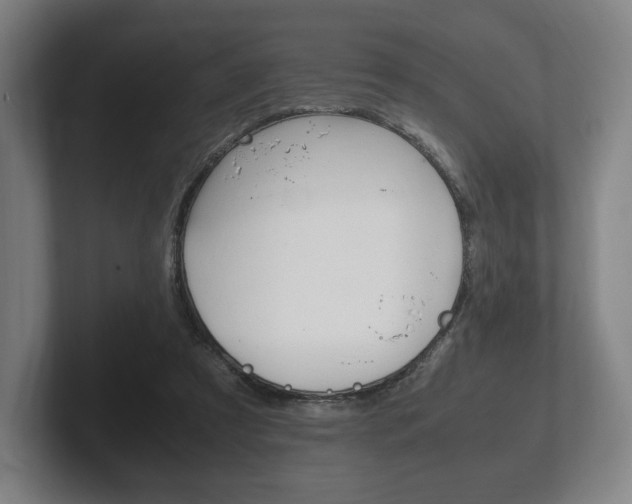 X0000102260305200807250843